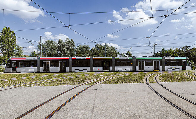 Straßenbahnmodell Tramlink