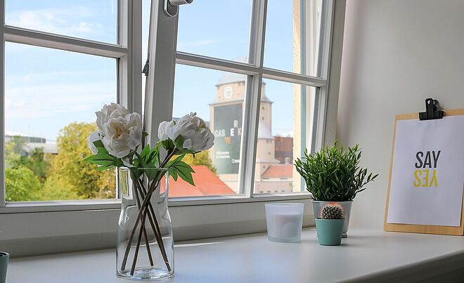 Blumen in Vasen auf einem Fensterbrett. Weiterverlinkung auf Gaswerk neue Räume Newsartikel