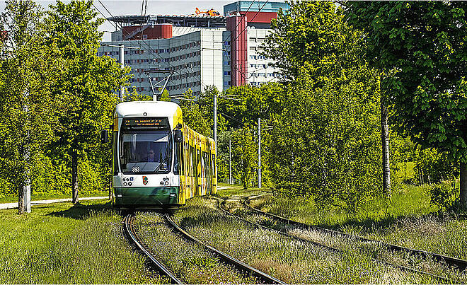 Eine swa Tram fährt auf einem Rasengleis
