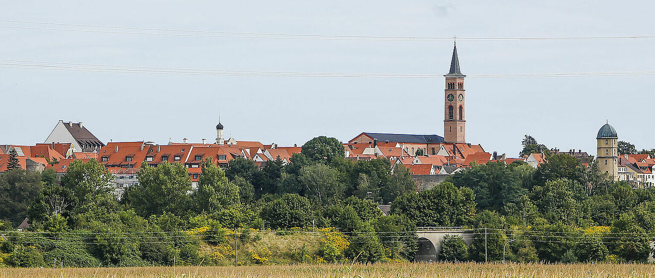 Friedberger Stadt Panorama
