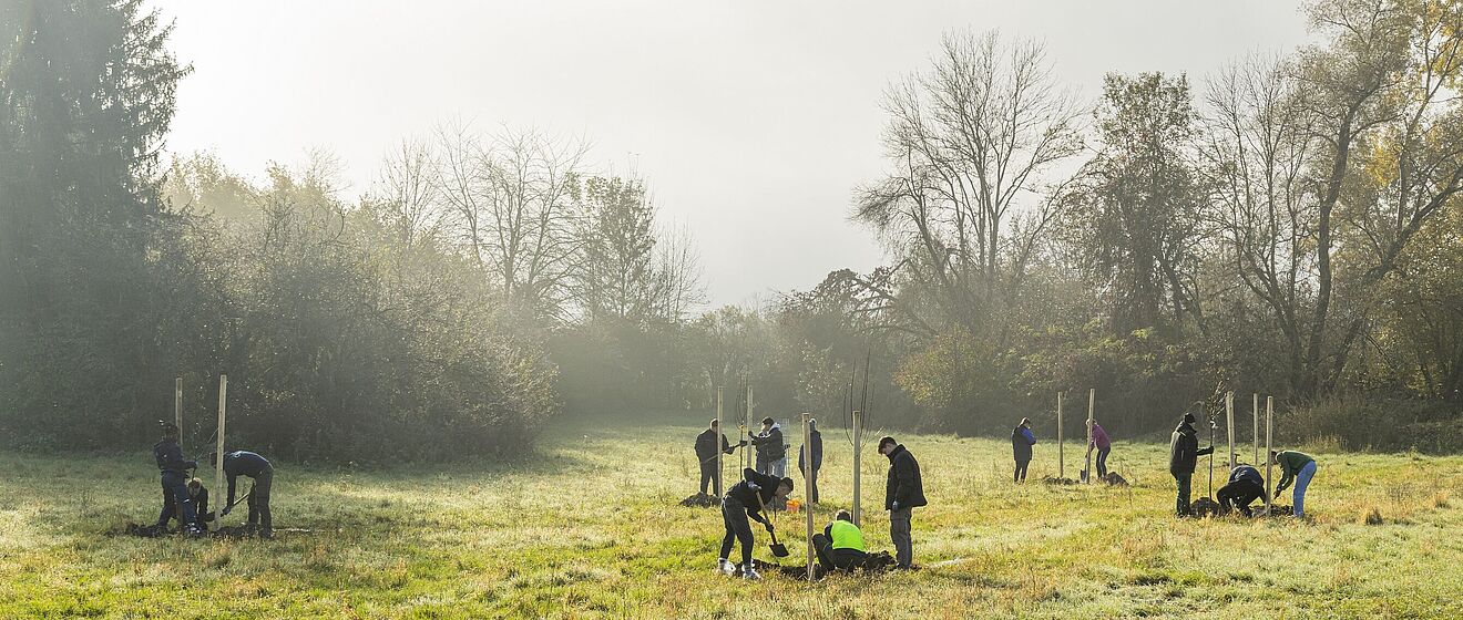 Pflanzaktion swa Talents