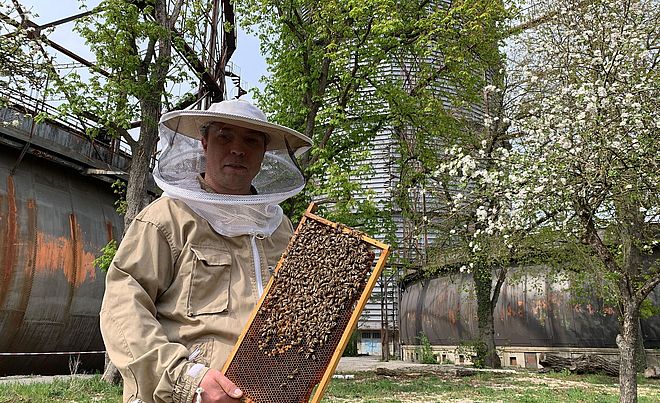 Imker mit Bienenwabe vor dem Gaswerk. Weiterverlinkung auf neue Bewohner fürs Gaswerksgelände Newsartikel