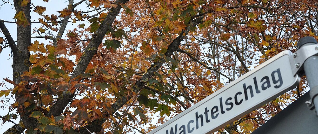 Straßenschild mit der Aufschrift "Am Wachtelschlag". Im Hintergrund befindet sich ein herbstlicher Baum.