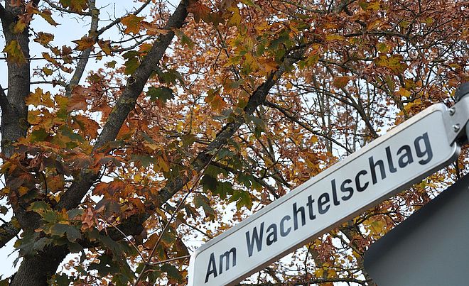 Straßenschild mit der Aufschrift "Am Wachtelschlag". Im Hintergrund befindet sich ein herbstlicher Baum.