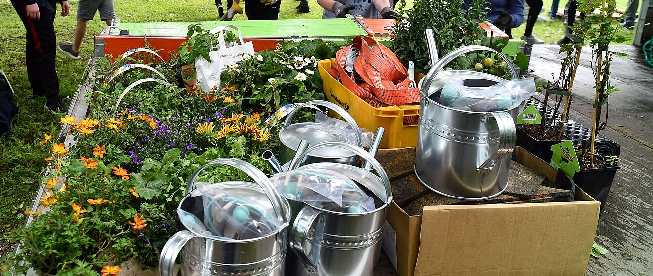 Blumen und Gießkannen auf einem Wagen