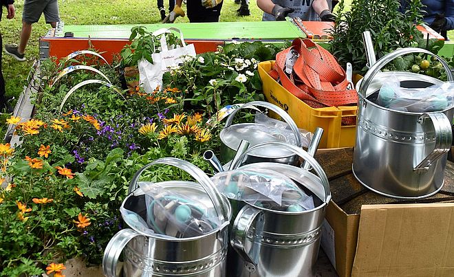 Blumen und Gießkannen auf einem Wagen