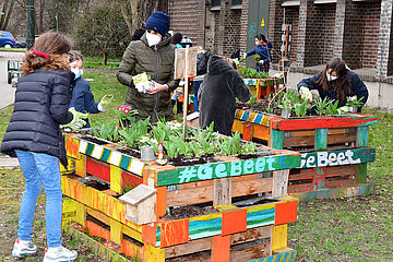 Kinder betreuen Blumenbeet. - Ein Klick auf das Bild führt zur vergrößerten Fotoansicht.
