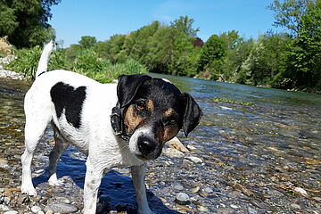 Lieblingsstadt_Pallino2.jpg