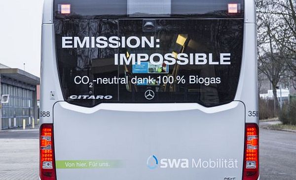 Bus von hinten mit der Aufschrift: 