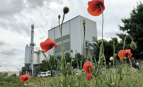 2020_06_04_Biomasse_HKW_Feature___4_.jpg