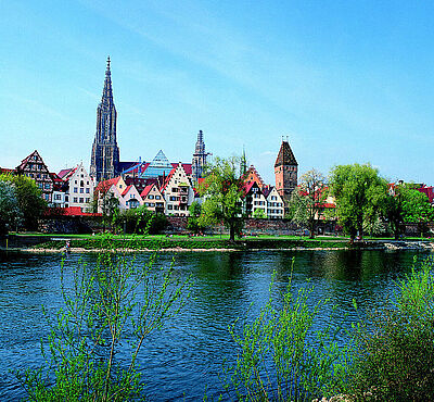 Fluss und Bäume. Im Hintergrund sind Gebäude und die Kirche der Stadt Ulm