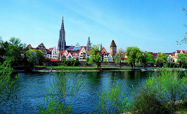 Fluss und Bäume. Im Hintergrund sind Gebäude und die Kirche der Stadt Ulm