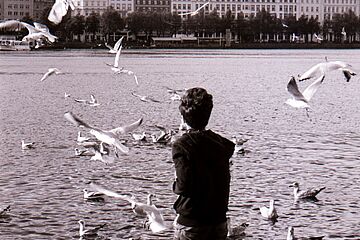 Ein junger Mann steht vor der Binnenalster in Hamburg mit Möwen im Anflug. Darstellung ist in schwarz-Weiß-Optik. - Ein Klick auf das Bild führt zur vergrößerten Fotoansicht.
