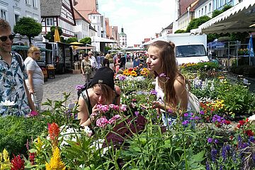 Wochenmarkt Günzburg / Foto: Stadt Günzburg