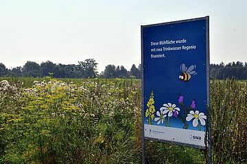 2020_08_12_Bluehbrache_Koenigsbrunn_00_web.jpg