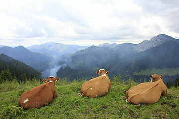 ©Tegernseer Tal Tourismus GmbH/Egbert Krupp