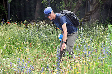 Mann mit Rucksack und blauer Kappe steht auf einer Blumenwiese und zeigt auf eine Blume. Ein Klick sorgt für eine Großansicht des Bildes.