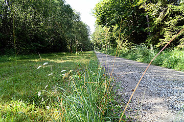 2021_07_27_Biotopverbund_Leitungstrassen_04.jpg