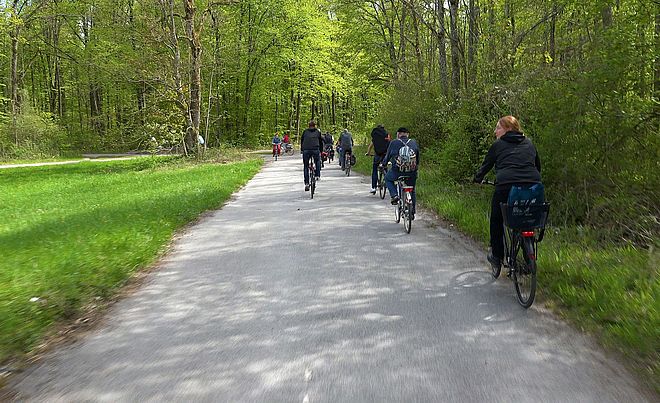 Viele Menschen die in einem Wald mit dem Fahrrad unterwegs sind.