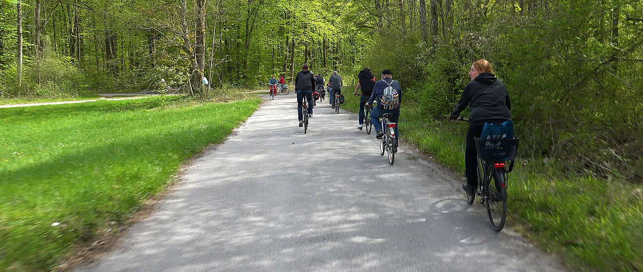 Viele Menschen die in einem Wald mit dem Fahrrad unterwegs sind.