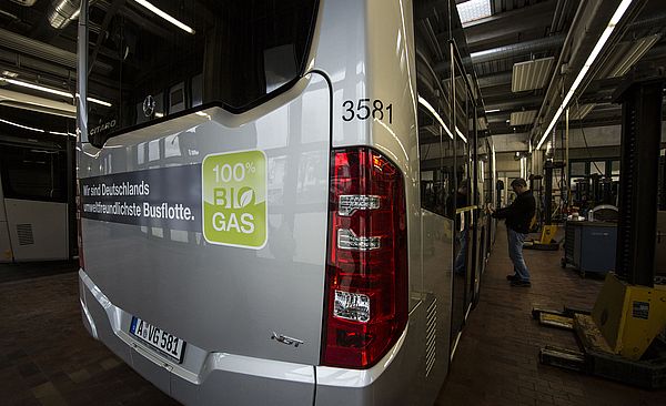 Bus von hinten.