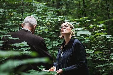 Oberbürgermeisterin Eva Weber steht im Wald und schaut nach oben. - Ein Klick auf das Bild führt zur vergrößerten Fotoansicht 
