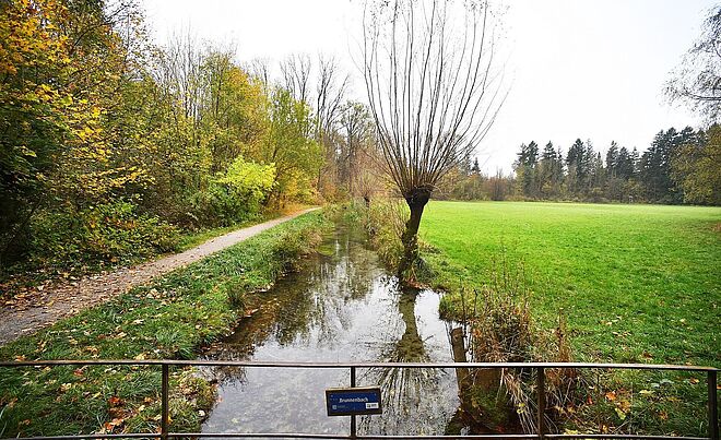Header: Brunnenbach im Siebentischwald