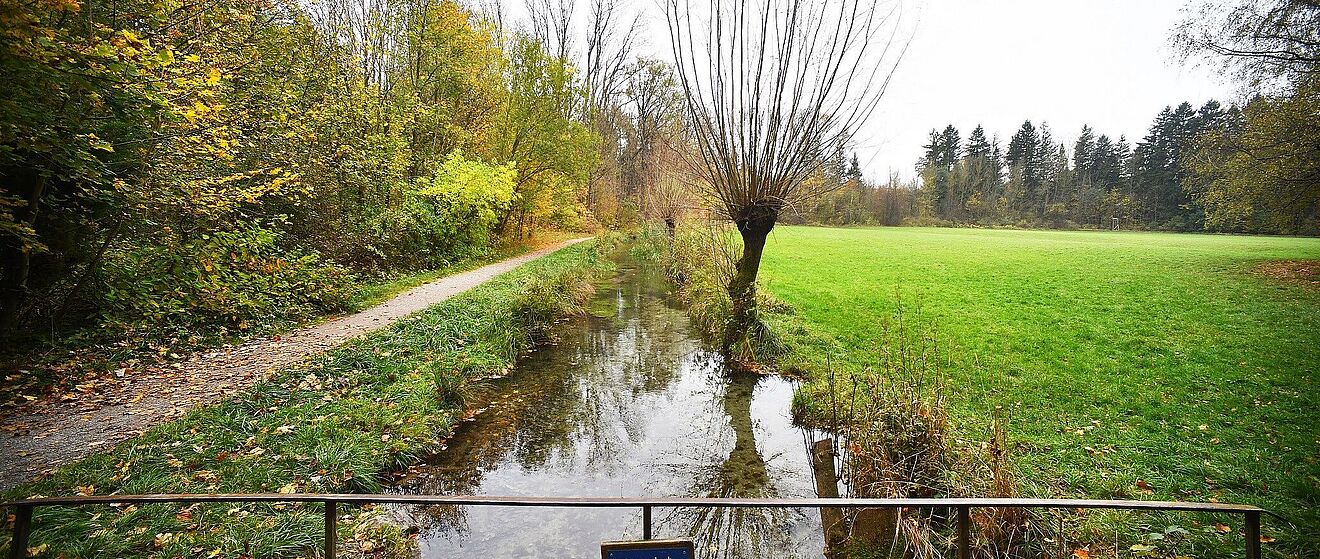 Header: Brunnenbach im Siebentischwald