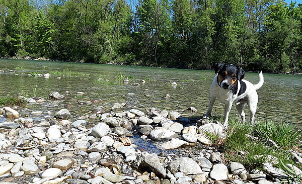 Lieblingsstadt_Pallino1.jpg