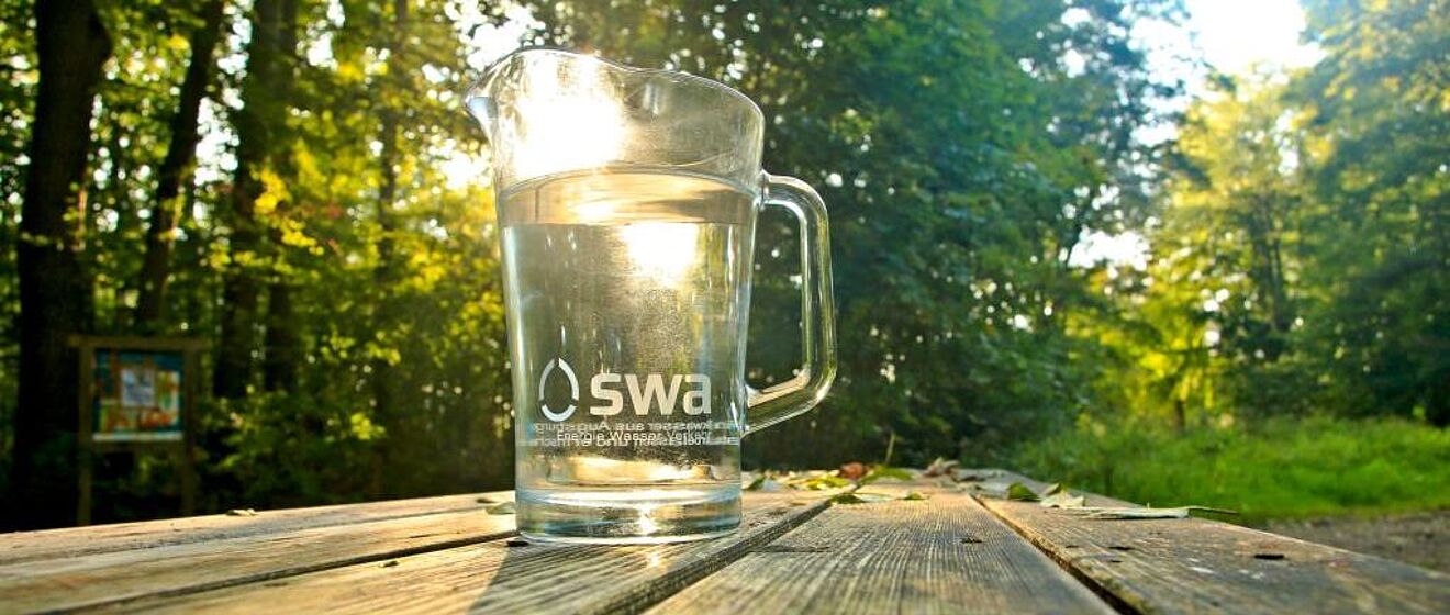 gefüllter swa Wasserkrug steht im Wald auf einem Holztisch