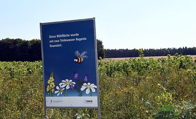 Ein Feld im Hintergrund, davor ein blaues Schild mit einer Darstellung einer Biene und Blumen. Auf dem Schild steht  „Dieser Blühacker wurde mit Stadtwerke Trinkwasser Regenio finanziert.“